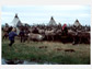 Nenets women and children herd reindeer into a temporary corral